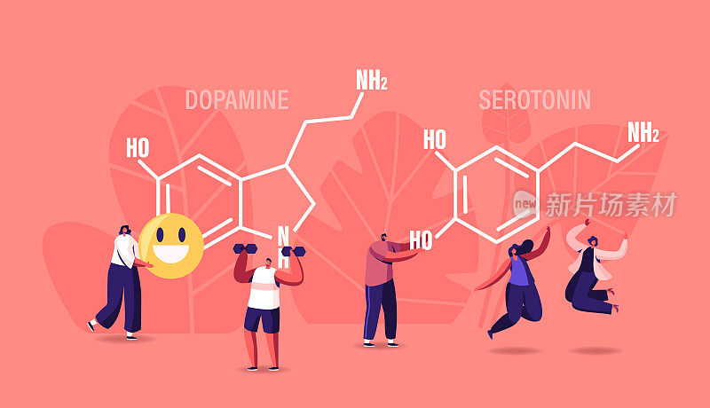 多巴胺,5 -羟色胺的概念。人们在巨型方程式附近享受生活。机体激素的产生。字符跳